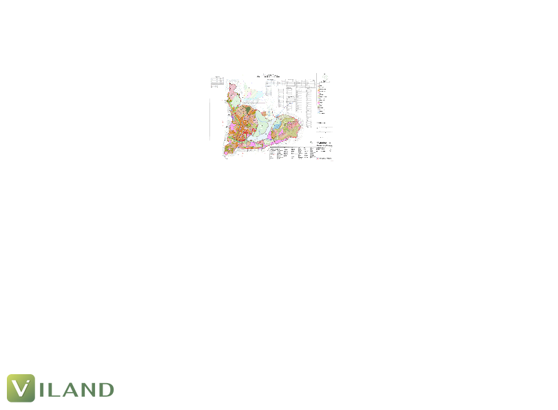Chuyên nhà cho thuê và tra cứu quy hoạch thông minh