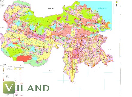 Chuyên nhà cho thuê và tra cứu quy hoạch thông minh