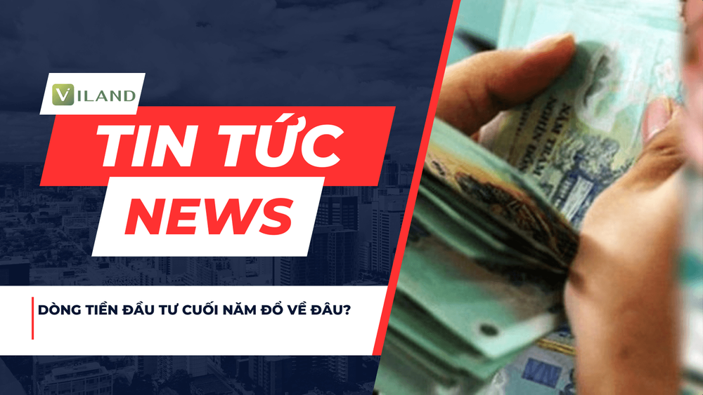 Chuyên nhà cho thuê và tra cứu quy hoạch thông minh