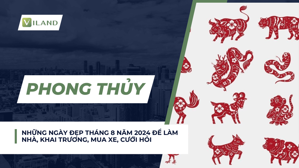Chuyên nhà cho thuê và tra cứu quy hoạch thông minh