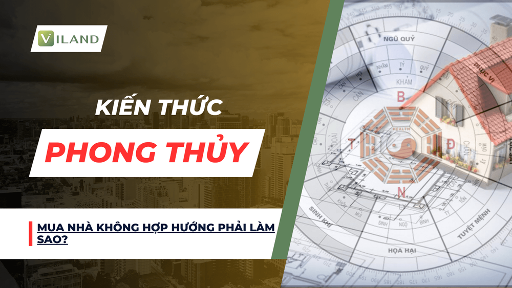Chuyên nhà cho thuê và tra cứu quy hoạch thông minh