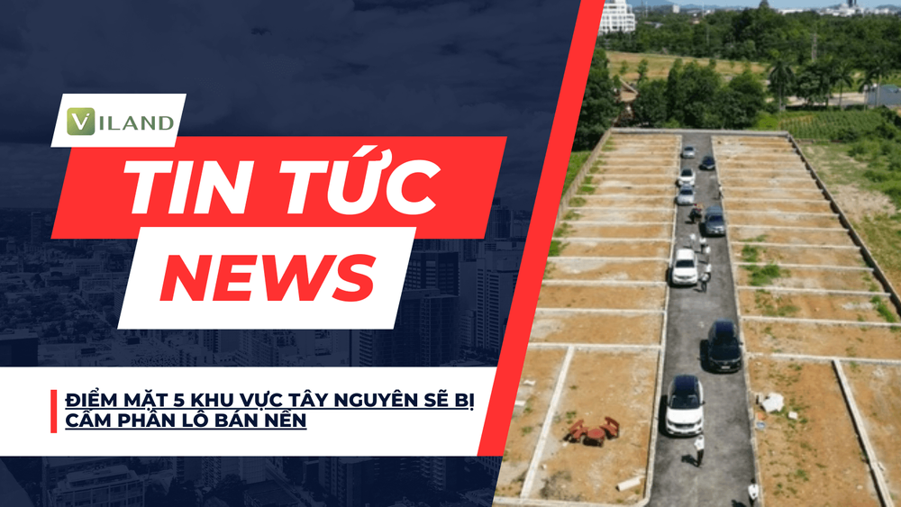 Chuyên nhà cho thuê và tra cứu quy hoạch thông minh