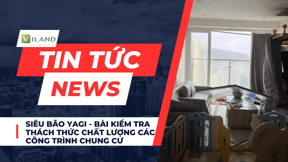 Chuyên nhà cho thuê và tra cứu quy hoạch thông minh