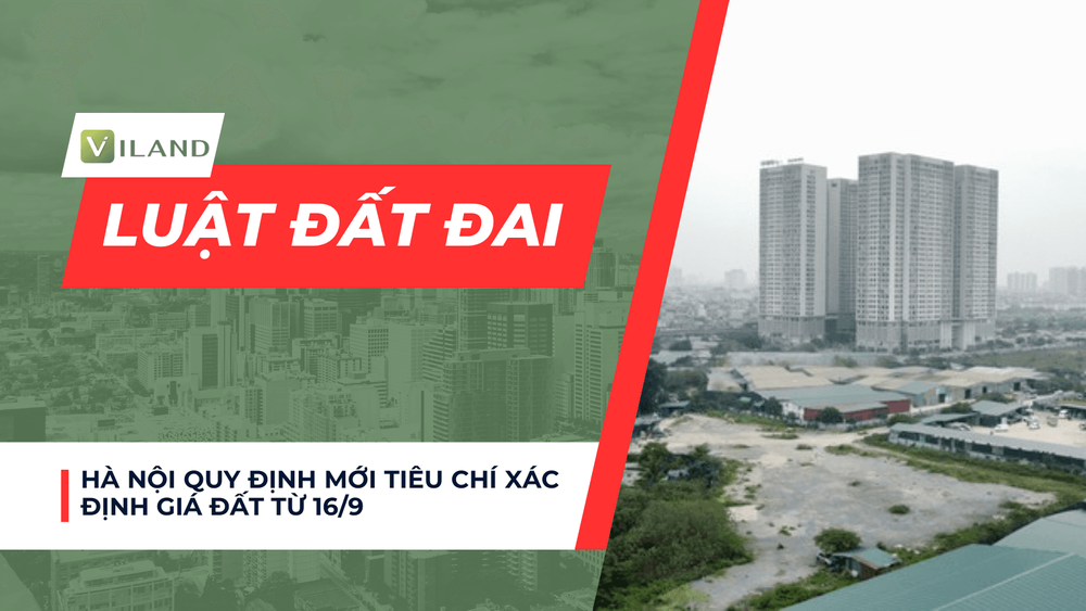 Chuyên nhà cho thuê và tra cứu quy hoạch thông minh