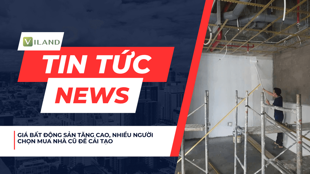 Chuyên nhà cho thuê và tra cứu quy hoạch thông minh
