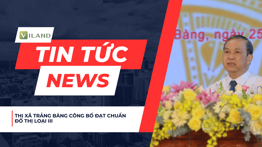 Chuyên nhà cho thuê và tra cứu quy hoạch thông minh