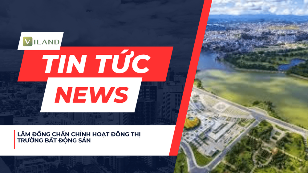 Chuyên nhà cho thuê và tra cứu quy hoạch thông minh