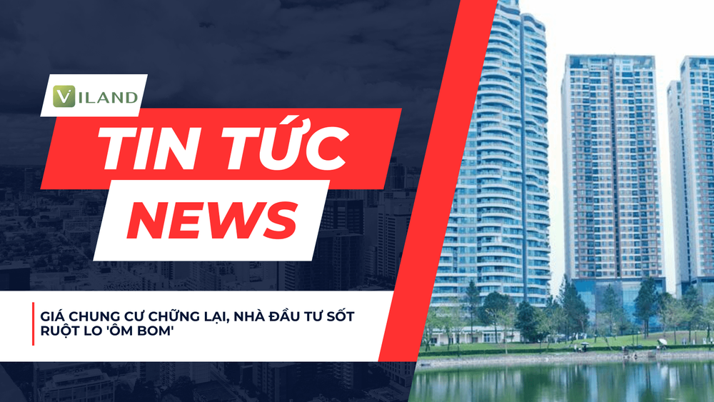 Chuyên nhà cho thuê và tra cứu quy hoạch thông minh