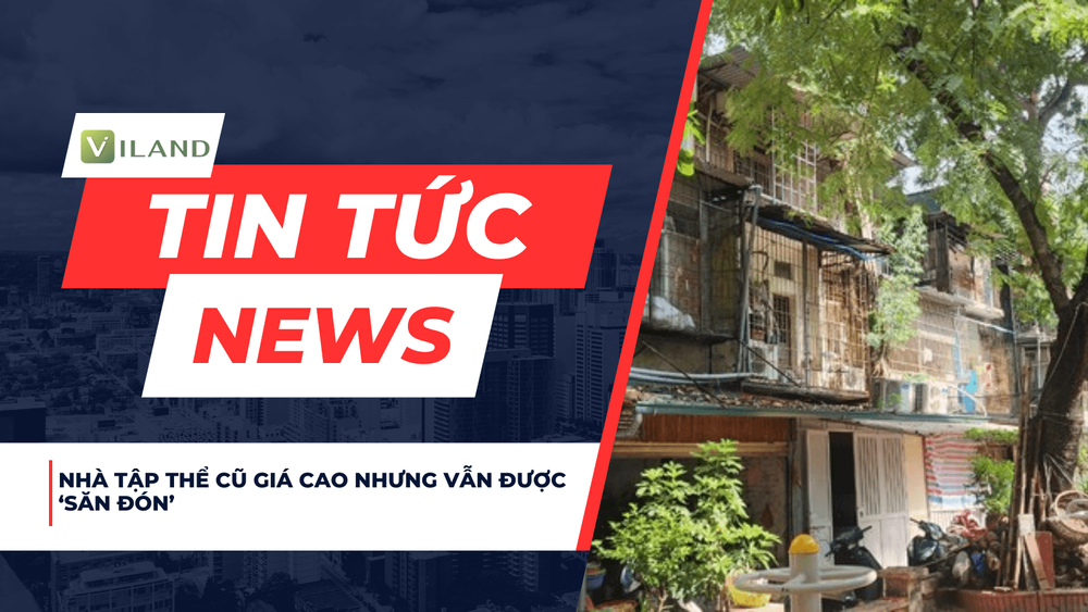 Chuyên nhà cho thuê và tra cứu quy hoạch thông minh