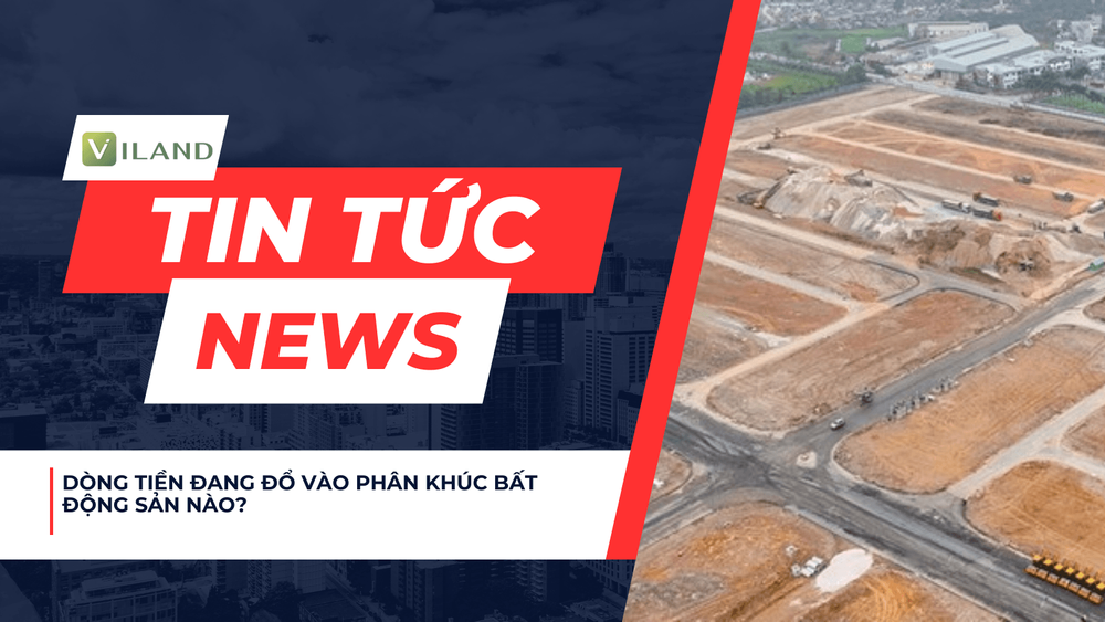 Chuyên nhà cho thuê và tra cứu quy hoạch thông minh