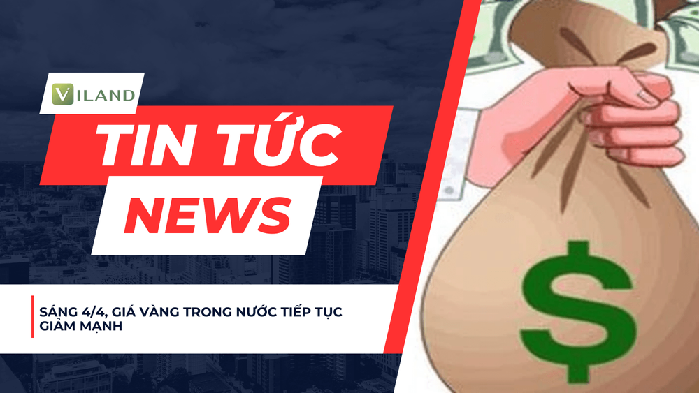 Chuyên nhà cho thuê và tra cứu quy hoạch thông minh