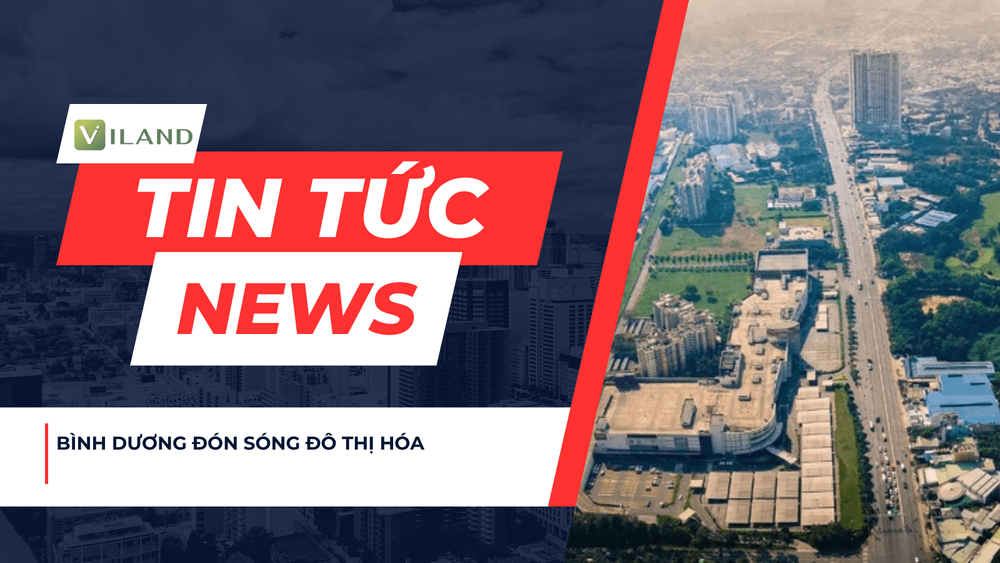 Chuyên nhà cho thuê và tra cứu quy hoạch thông minh