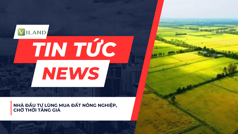 Chuyên nhà cho thuê và tra cứu quy hoạch thông minh