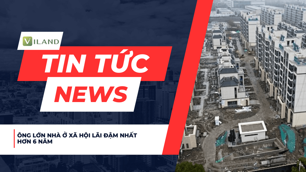 Chuyên nhà cho thuê và tra cứu quy hoạch thông minh