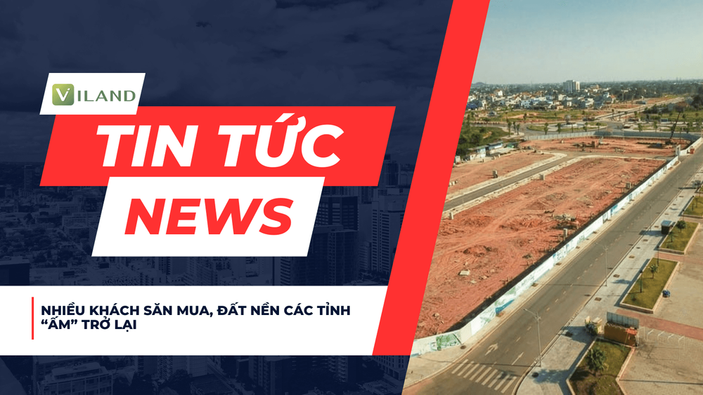 Chuyên nhà cho thuê và tra cứu quy hoạch thông minh