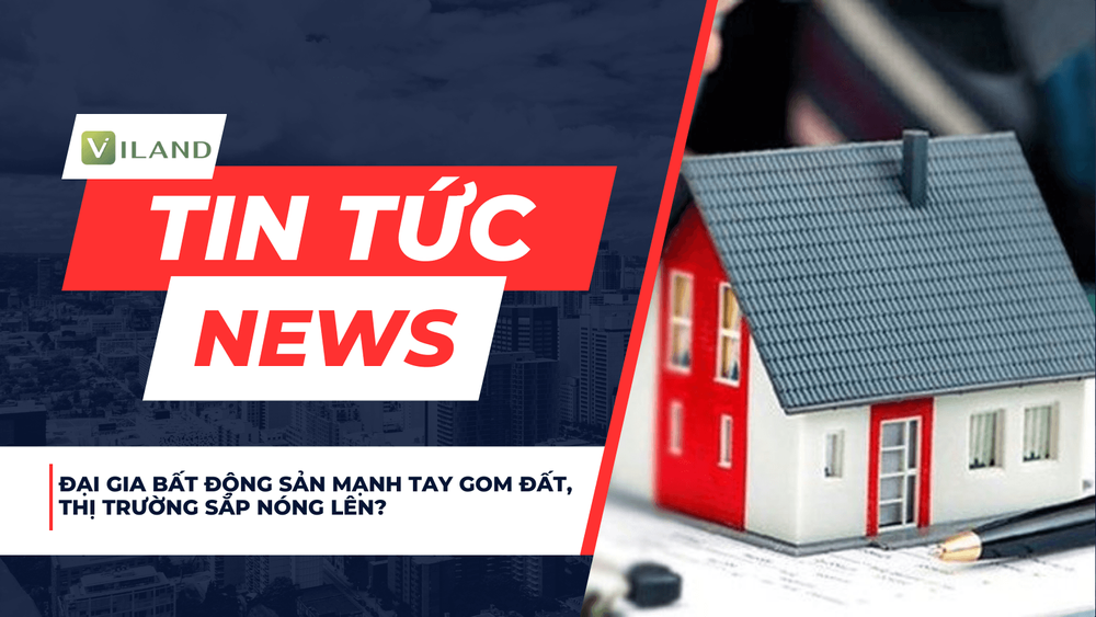 Chuyên nhà cho thuê và tra cứu quy hoạch thông minh