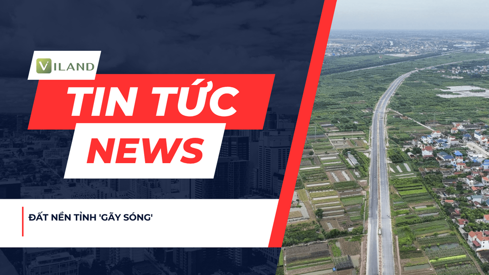 Chuyên nhà cho thuê và tra cứu quy hoạch thông minh