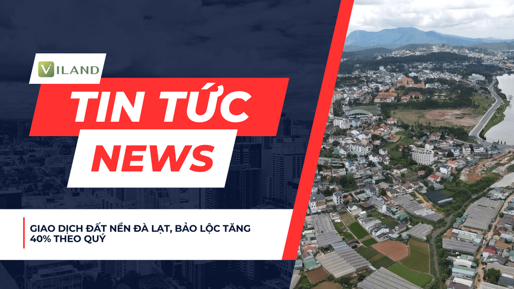 Chuyên nhà cho thuê và tra cứu quy hoạch thông minh