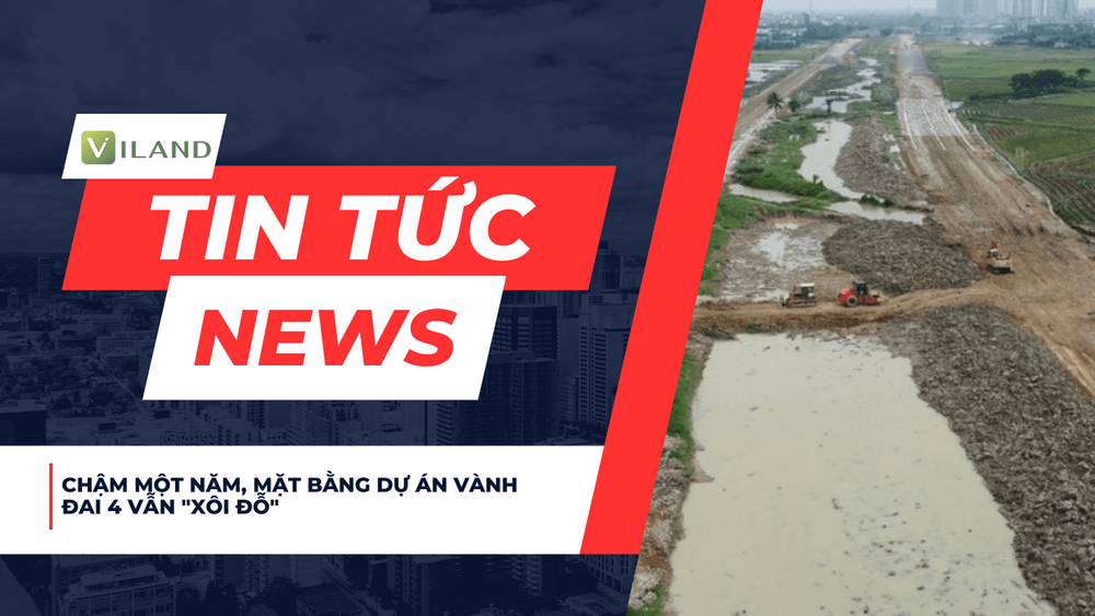 Chuyên nhà cho thuê và tra cứu quy hoạch thông minh