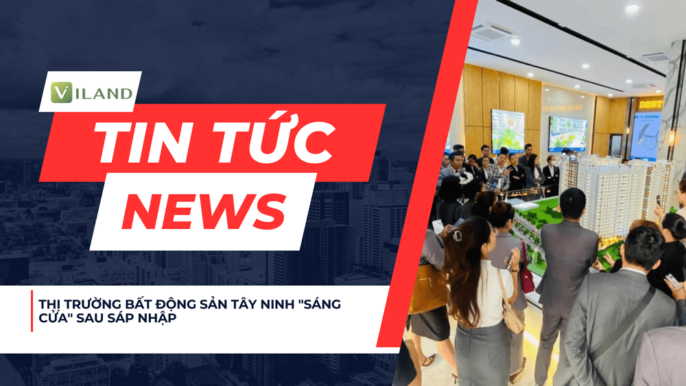 Chuyên nhà cho thuê và tra cứu quy hoạch thông minh