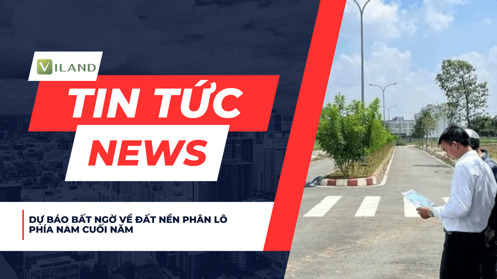 Chuyên nhà cho thuê và tra cứu quy hoạch thông minh