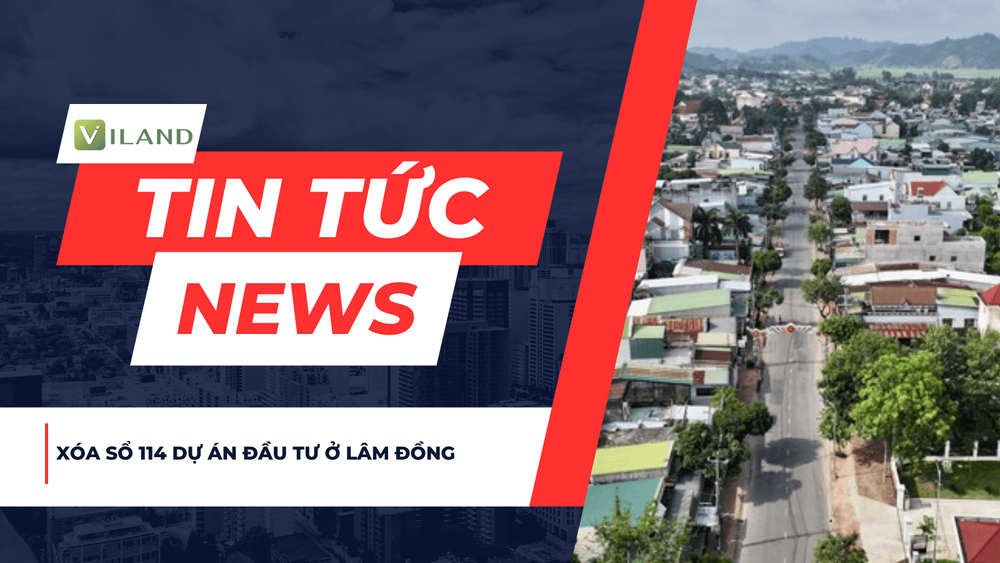 Chuyên nhà cho thuê và tra cứu quy hoạch thông minh