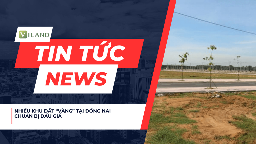 Chuyên nhà cho thuê và tra cứu quy hoạch thông minh