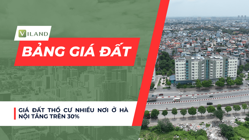 Chuyên nhà cho thuê và tra cứu quy hoạch thông minh