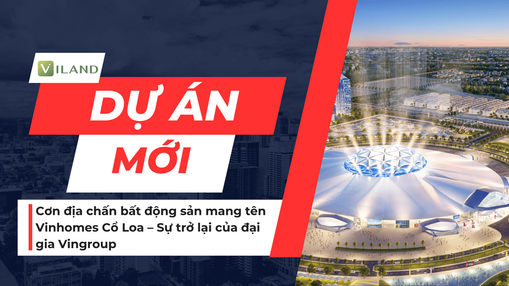 Chuyên nhà cho thuê và tra cứu quy hoạch thông minh