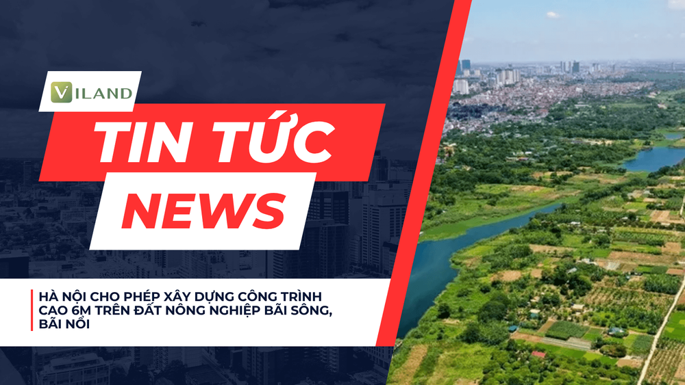 Chuyên nhà cho thuê và tra cứu quy hoạch thông minh