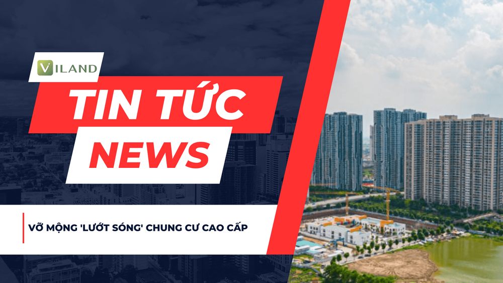 Chuyên nhà cho thuê và tra cứu quy hoạch thông minh