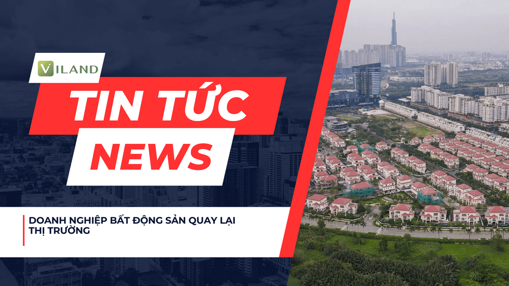 Chuyên nhà cho thuê và tra cứu quy hoạch thông minh