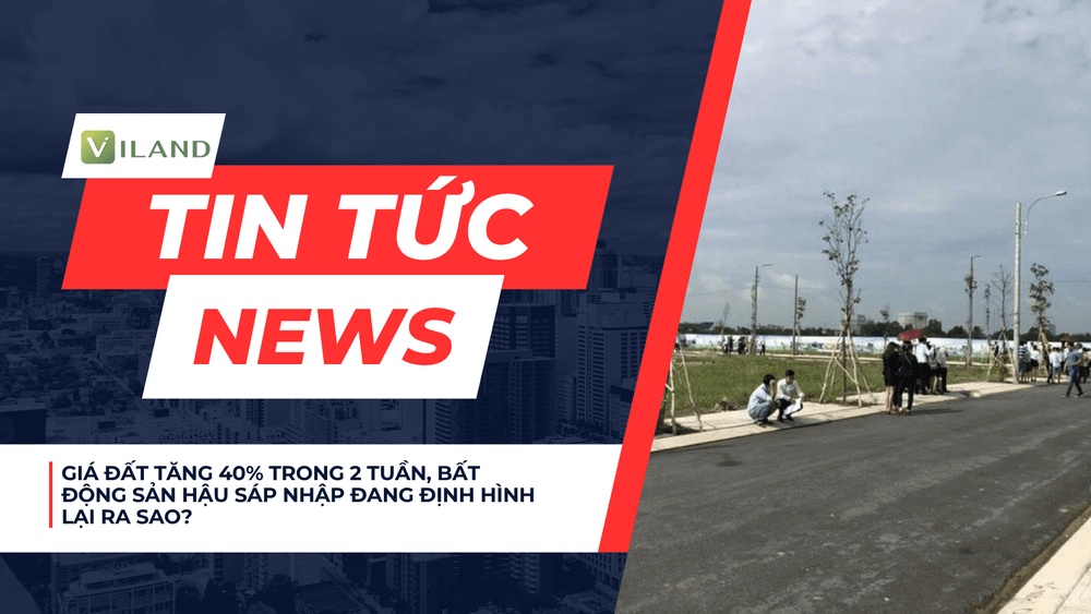 Chuyên nhà cho thuê và tra cứu quy hoạch thông minh