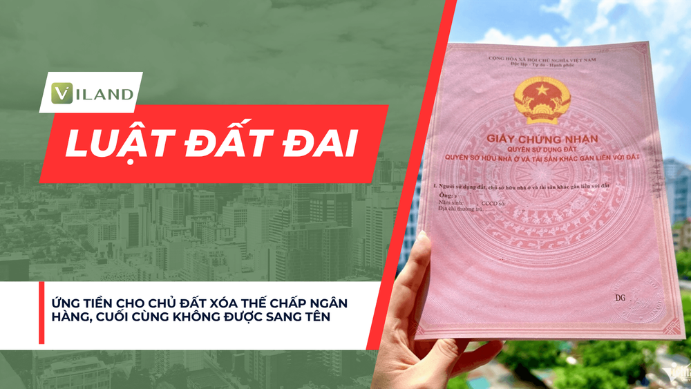 Chuyên nhà cho thuê và tra cứu quy hoạch thông minh