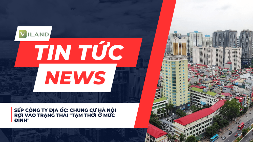 Chuyên nhà cho thuê và tra cứu quy hoạch thông minh