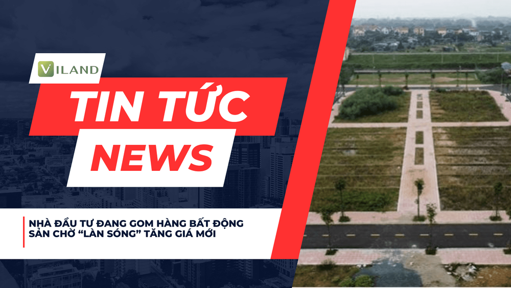 Chuyên nhà cho thuê và tra cứu quy hoạch thông minh