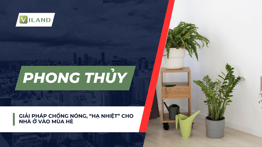 Chuyên nhà cho thuê và tra cứu quy hoạch thông minh