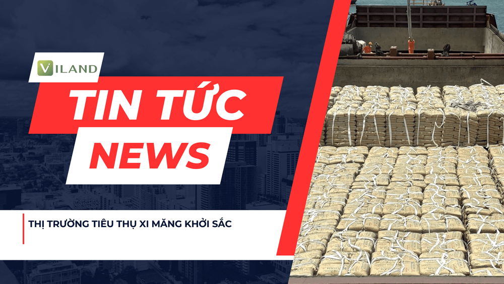 Chuyên nhà cho thuê và tra cứu quy hoạch thông minh