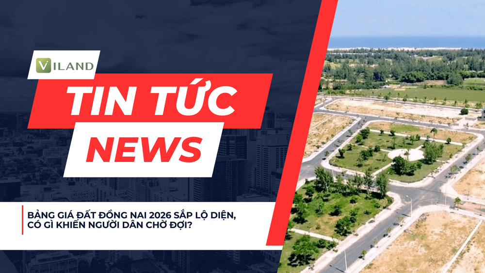 Chuyên nhà cho thuê và tra cứu quy hoạch thông minh