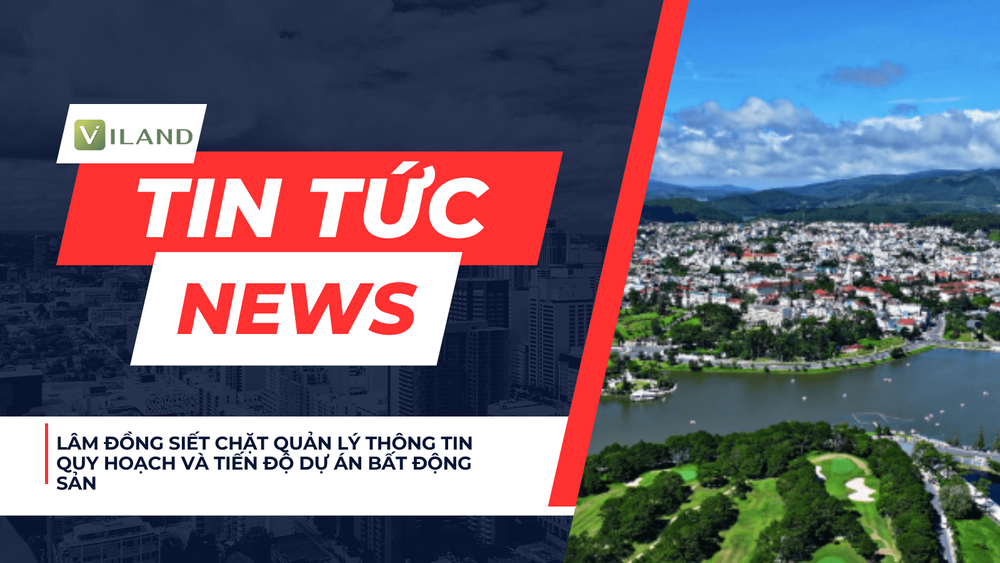 Chuyên nhà cho thuê và tra cứu quy hoạch thông minh
