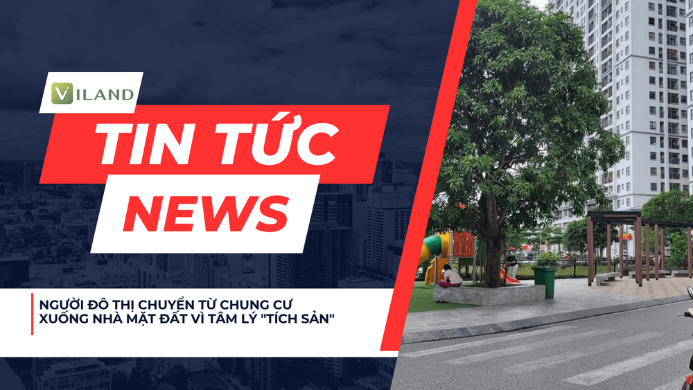 Chuyên nhà cho thuê và tra cứu quy hoạch thông minh
