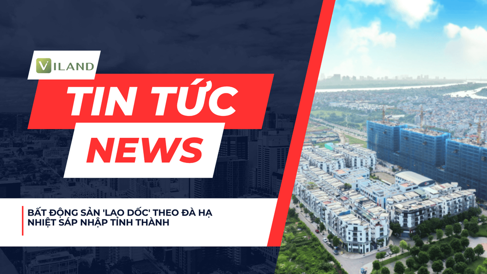 Chuyên nhà cho thuê và tra cứu quy hoạch thông minh