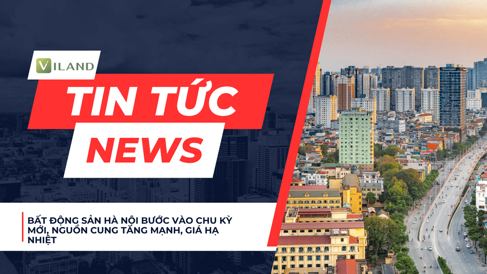 Chuyên nhà cho thuê và tra cứu quy hoạch thông minh