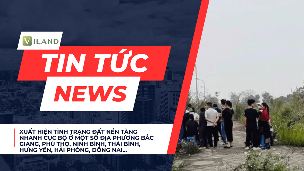 Chuyên nhà cho thuê và tra cứu quy hoạch thông minh