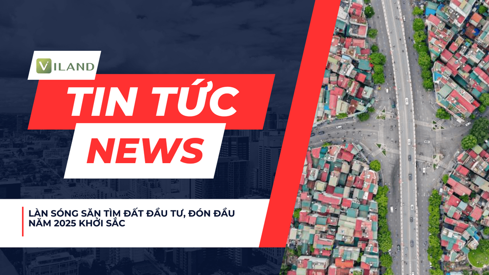 Chuyên nhà cho thuê và tra cứu quy hoạch thông minh