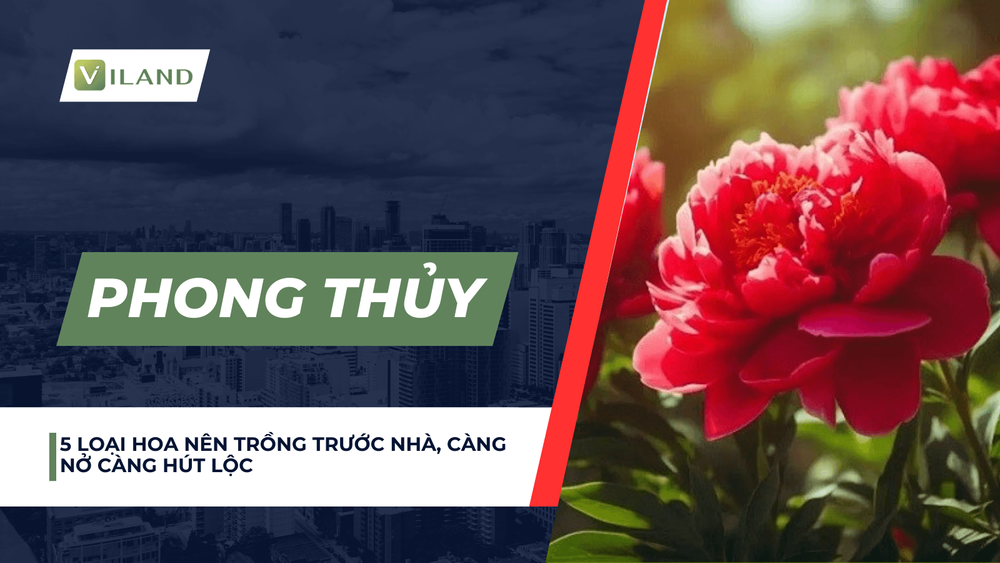 Chuyên nhà cho thuê và tra cứu quy hoạch thông minh