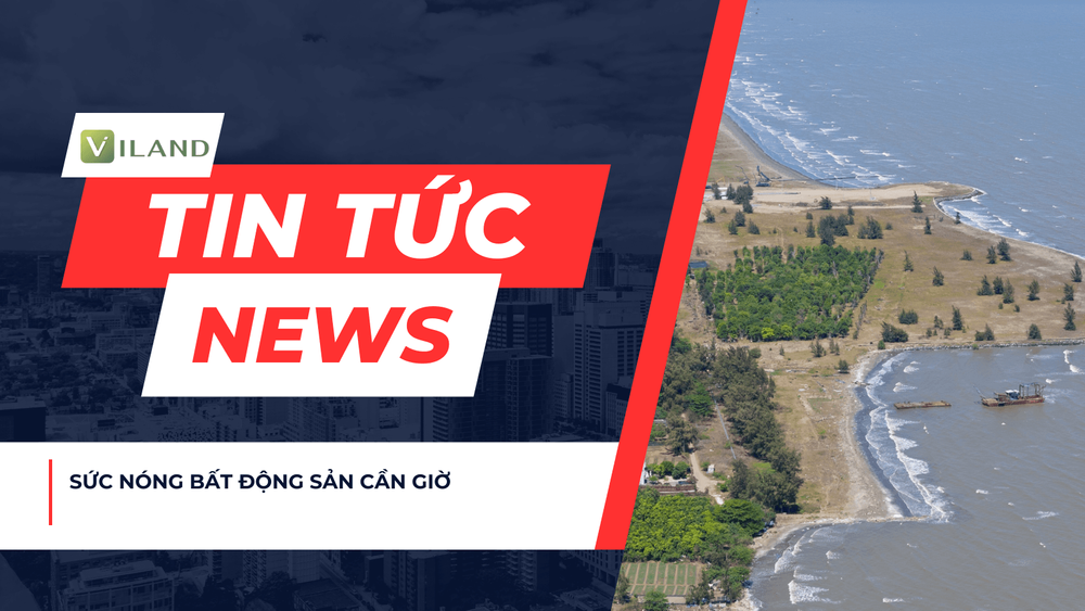 Chuyên nhà cho thuê và tra cứu quy hoạch thông minh