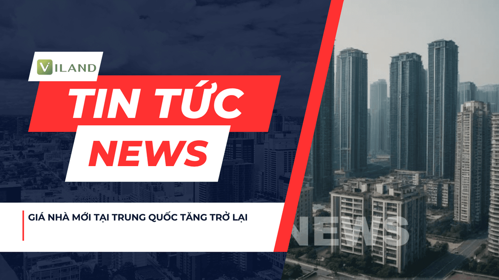 Chuyên nhà cho thuê và tra cứu quy hoạch thông minh