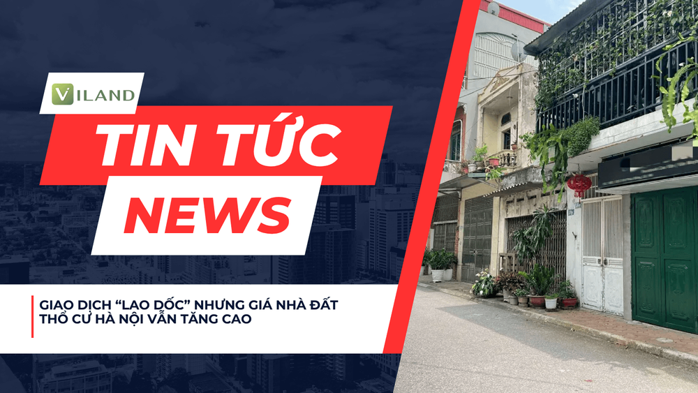 Chuyên nhà cho thuê và tra cứu quy hoạch thông minh
