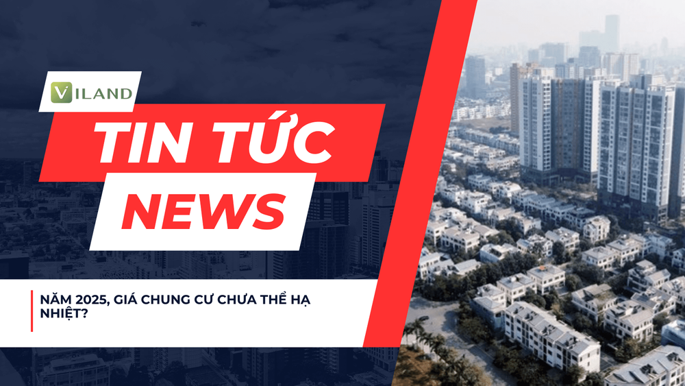 Chuyên nhà cho thuê và tra cứu quy hoạch thông minh